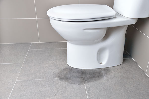 Leaking Toilets